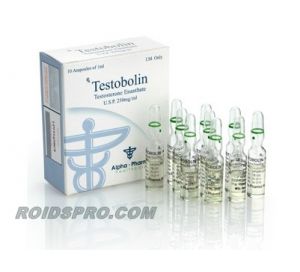 Testobolin for sale | Testosterone Enanthate 250 mg per ml x 10 ampoules) Alpha Pharma